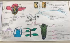 初中生物怎么预习(预习初中生物的技巧)