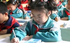 英语作文素材如何整理(整理英语作文素材的有效方法)