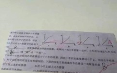 高中生物怎么学(提高生物学习效率的方法)