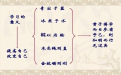 学霸有什么样的高效学习方法(学霸常用的学习策略)