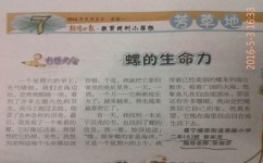 如何学会观察(提升观察能力的技巧)