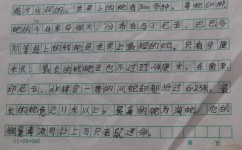 写小动物的作文怎么写(写小动物的作文结构和示例)