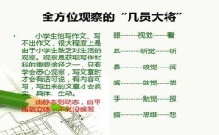 如何提高语言的文采(提升语言文采的技巧)