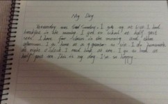 英语作文怎么进行仿写(进行英语作文仿写的步骤)