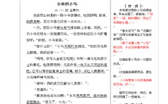 如何学会编写作文(学习编写作文的步骤)