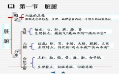如何提高孩子的理解能力(提升理解能力的方法)