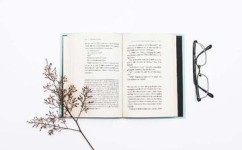 如何取舍作文素材(写作时进行素材取舍的方法)