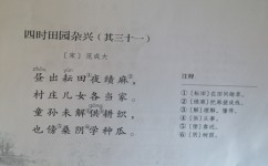 写小说怎么入门(写小说的入门建议)