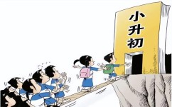 中考压轴题怎么解题(有效解决压轴题的步骤)