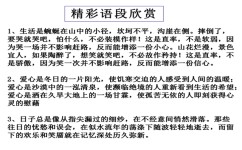 中考作文该如何应对(应对中考作文的建议)