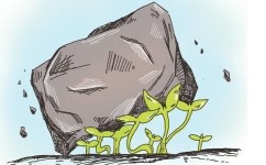 高效复习秘籍有哪些(复习和巩固知识的方法)