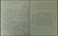 作文怎么写出奇妙与趣味(写出奇妙作文的方法)