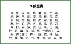 小学量词怎么学(学习小学量词的方法)