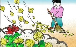 如何带孩子亲子阅读(有效的亲子阅读方法)