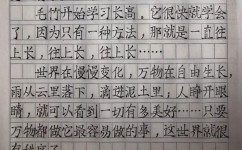 二年级语文成绩差怎么提高(提高语文成绩的策略)