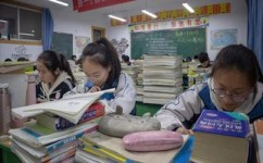 孩子如何提高表现能力(提升表现能力的策略)