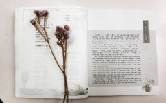 怎样提高背书效率(提高背书效率的方法)