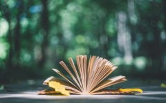 如何规划兴趣班(有效规划兴趣班的步骤)