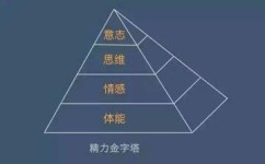 怎么才能刺激大脑记忆(刺激大脑记忆的策略)