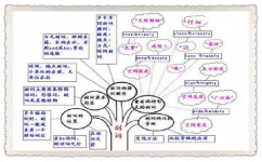 如何掌握英语语法规律(掌握英语语法规律的策略)