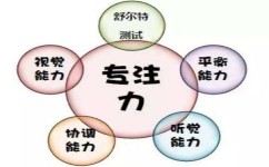 怎么进行专注力训练(提升专注力的技巧)