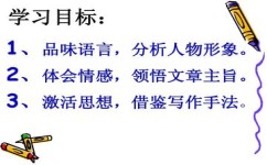 写作怎么描写环境(写作中描写环境的方法)