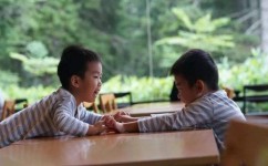 如何引导孩子正确交友以及平衡学习(引导孩子有效的建议)