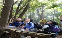 怎么样去提升胆量(提升胆量的策略)