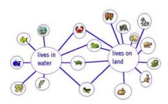 学习思维怎么提升(提升学习思维的方法)
