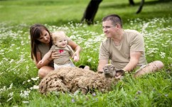 如何培养幼儿的安全感(培养幼儿安全感的技巧)