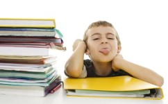 学习怎么定期的总结(进行定期总结的步骤)