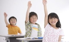 怎样养成对规则的意识(培养规则意识的方法)