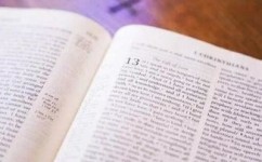 如何提高英语阅读能力(提升英语阅读水平的建议)