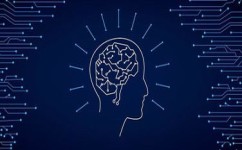 学习专注力减弱怎么办(找回深度专注状态的方法)