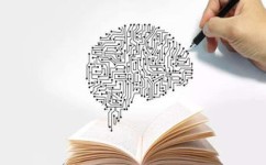 怎么增强大脑功能(增强大脑功能的策略)