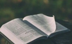 英语如何积累单词(记忆英语单词的方法)