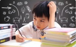 如何消灭知识盲点(识别和弥补知识盲点的步骤)