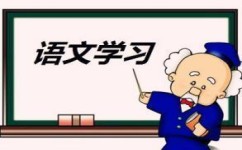 语文阅读怎么拿高分(语文阅读拿高分的方法)